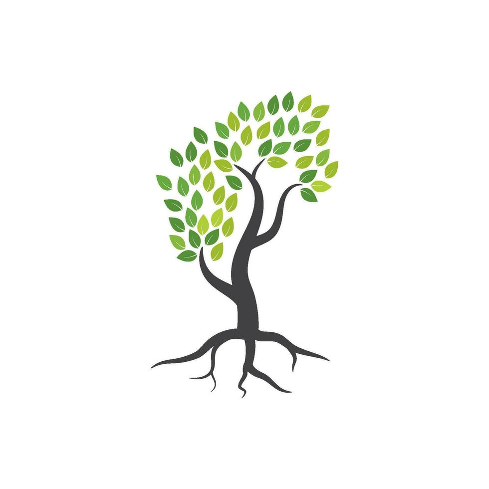 Tree branch vector ilustration design
