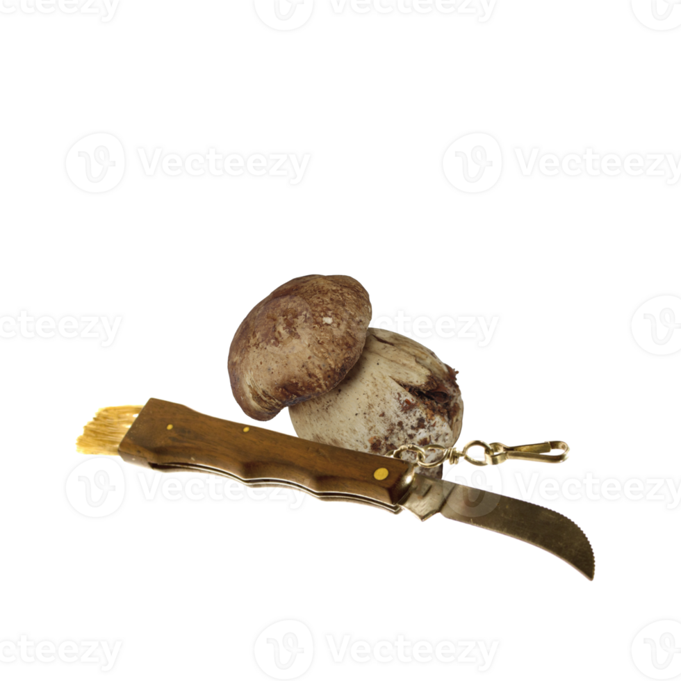 Open knife to clean mushrooms png