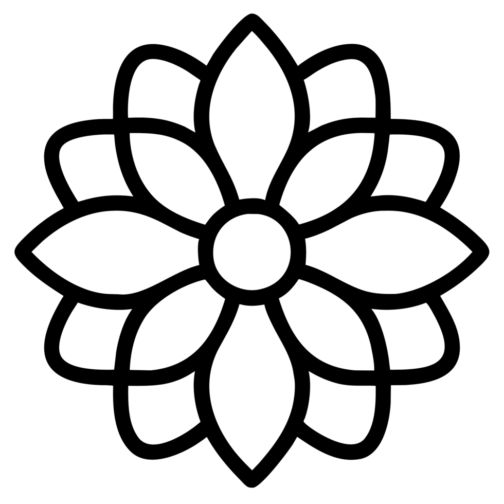 magnifique fleur contour png