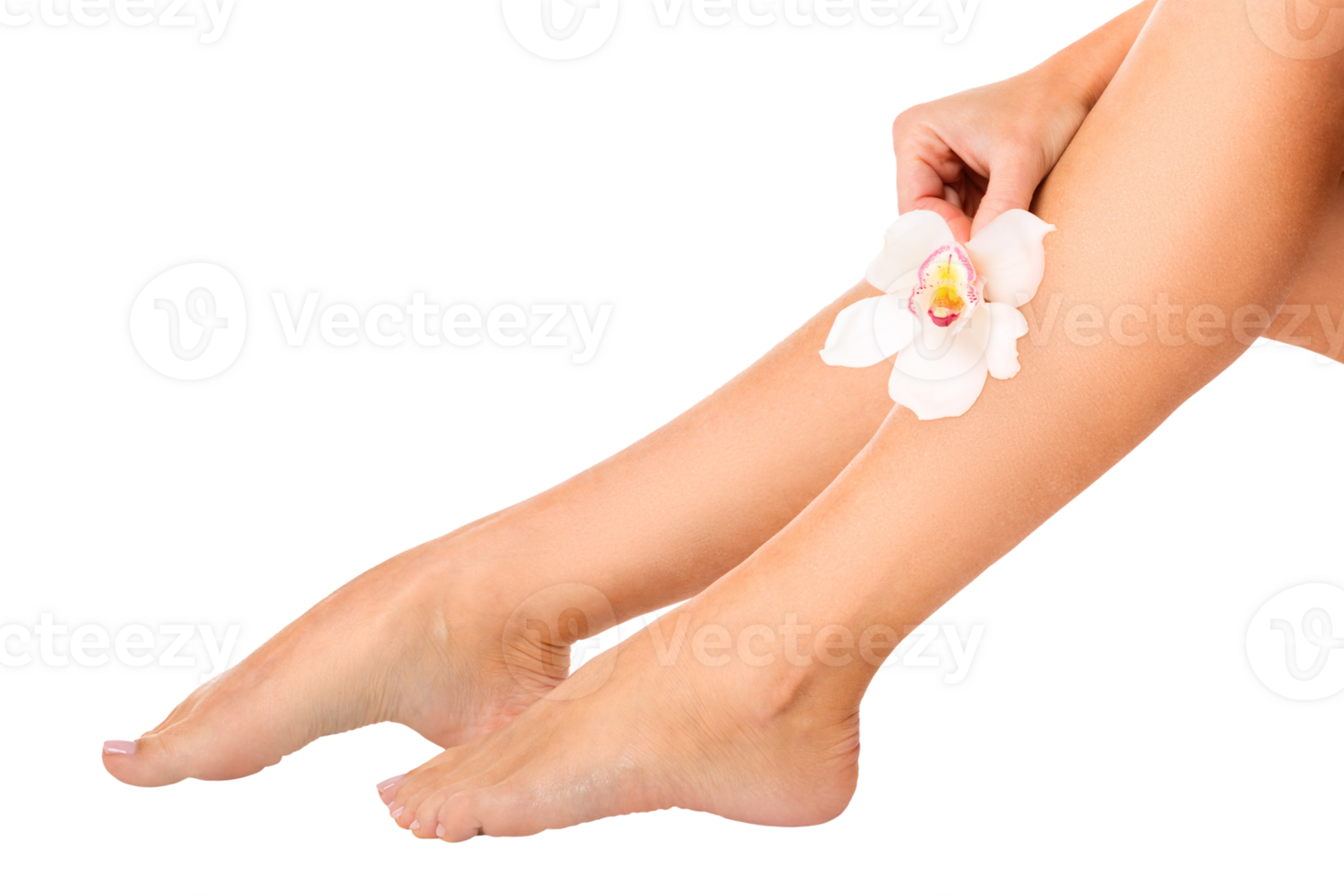 Beautiful female legs with orchid flower, isolated, close-up png