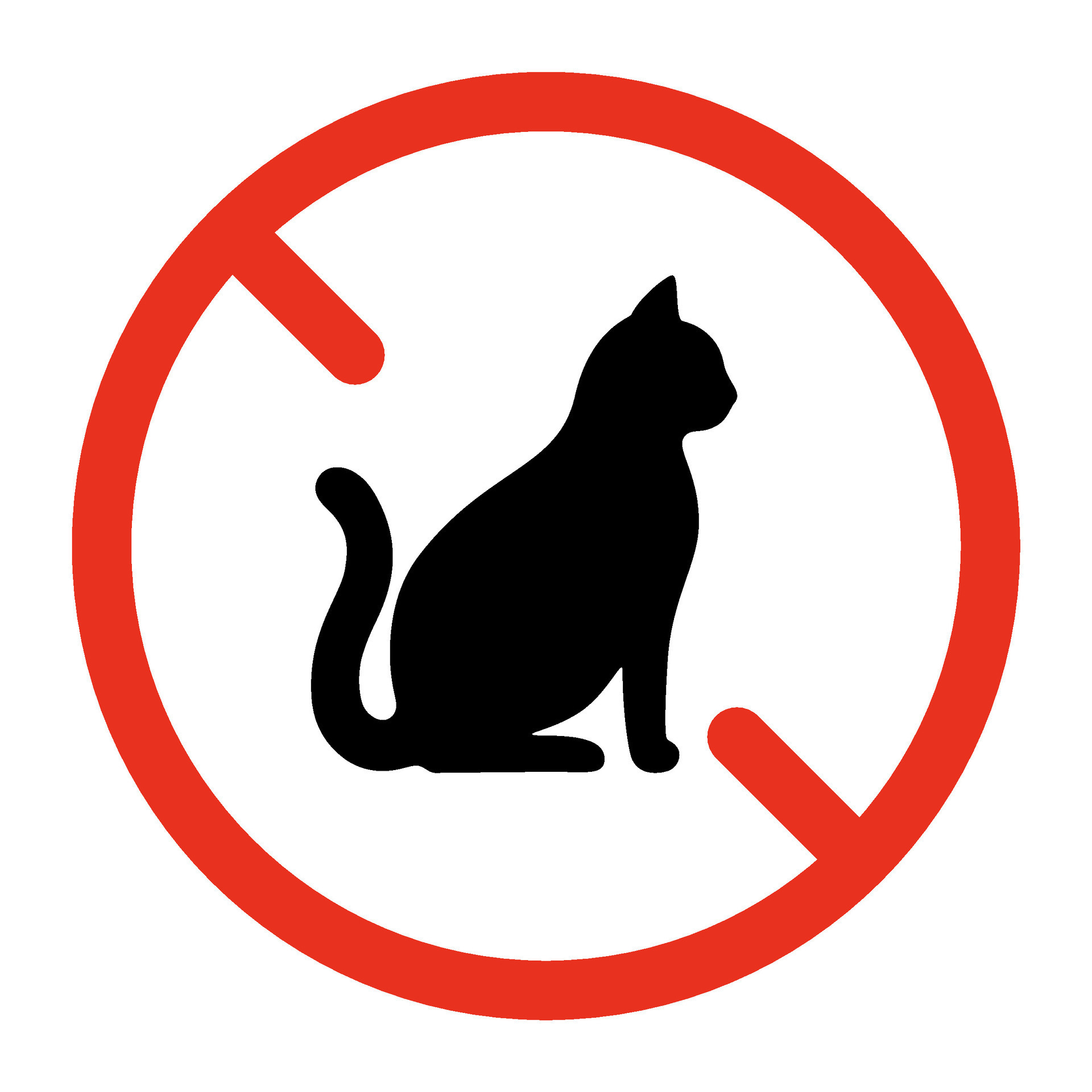 Cat pet forbidden, sign prohibition animal. No cats allowed. Feline in red restriction circle