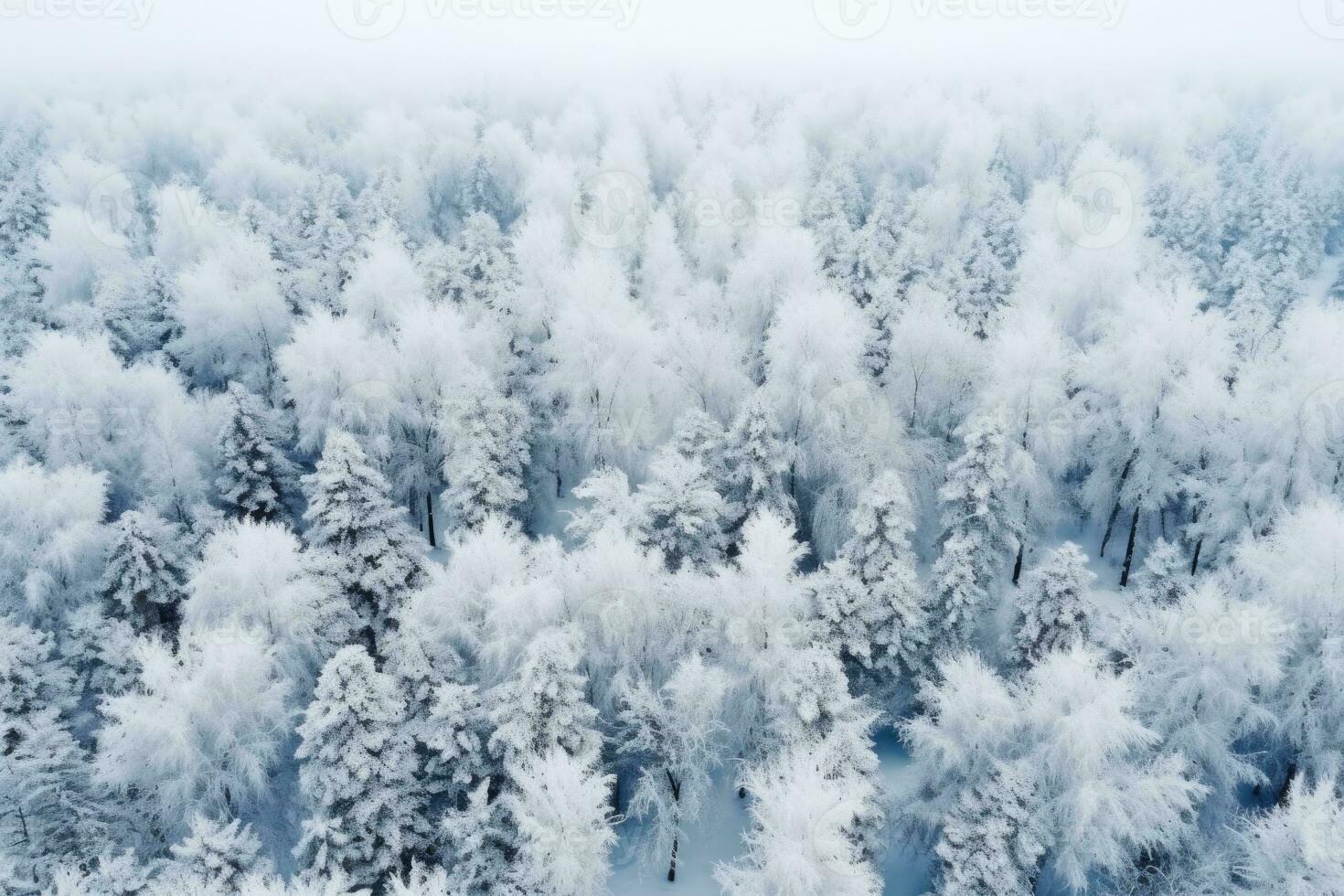 AI generated Aerial view of the forest at winter. The trees are covered with snow. Beautiful nature. photo