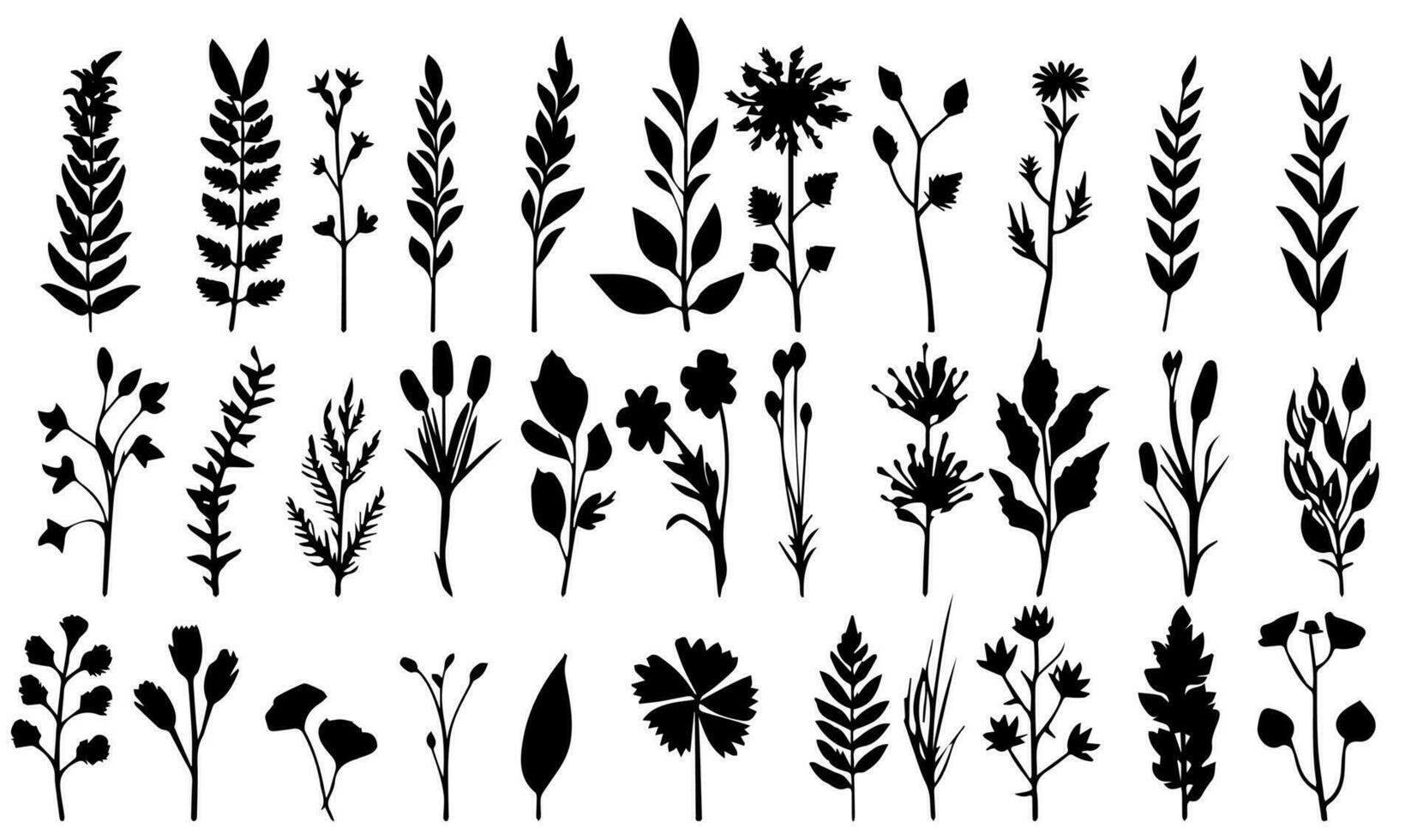 Set of black silhouettes of leaves and flowers. Vector illustration.
