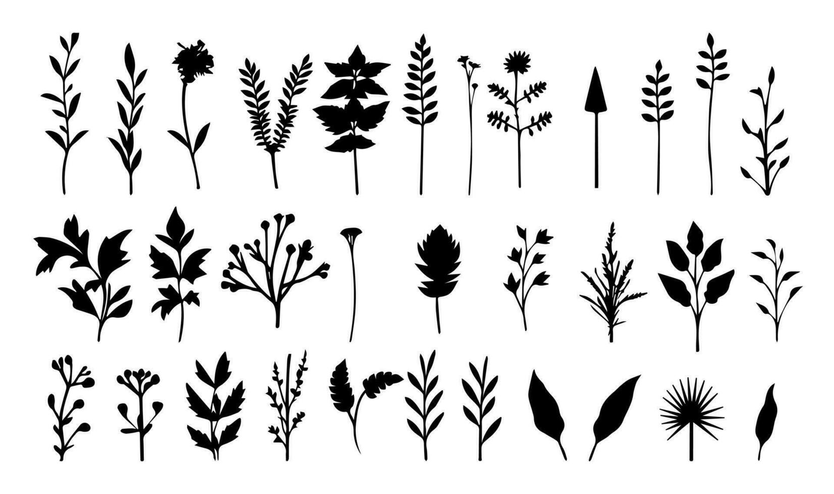 Set of black silhouettes of leaves and flowers. Vector illustration.