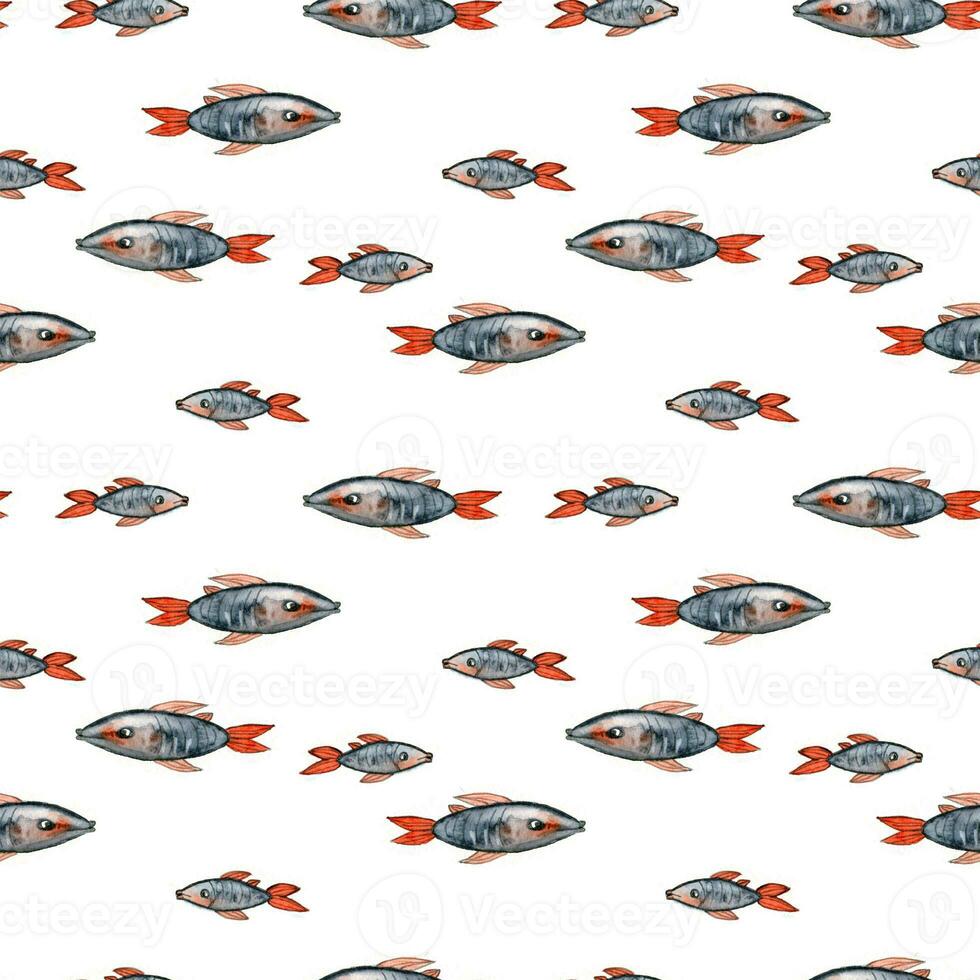 Watercolor drawing seamless pattern from fish with red fins in different sizes on white background, Hand drawn for postcards, photoframes, wrapping paper, textile printing, scrapbooking photo