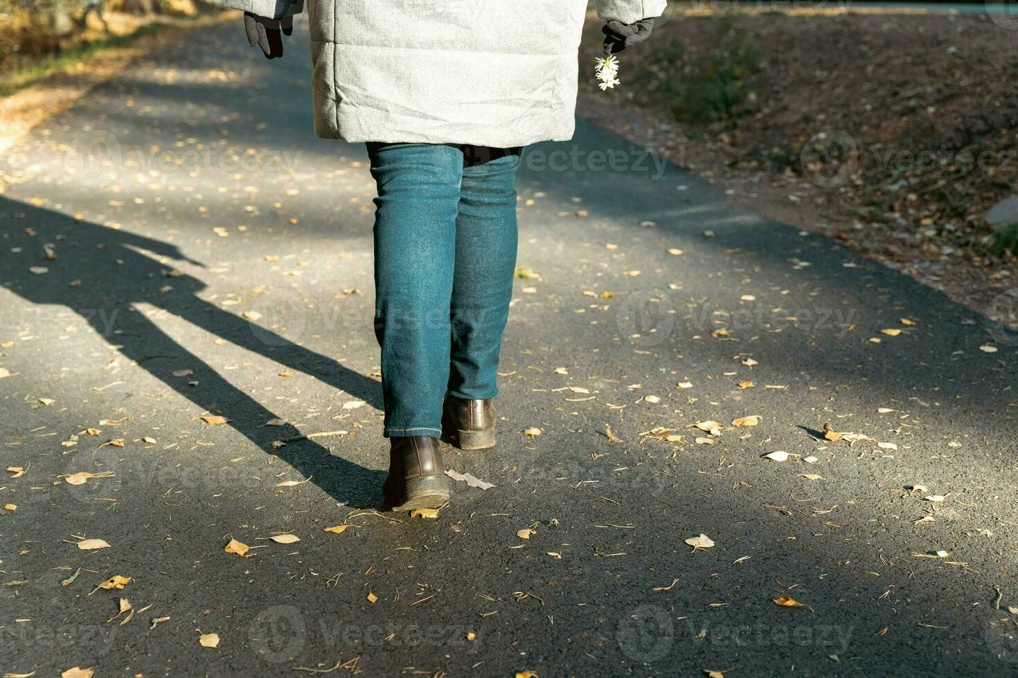 Woman in Stylish Autumn Attire Enjoying a Peaceful Stroll on a Sunny Fall Day photo