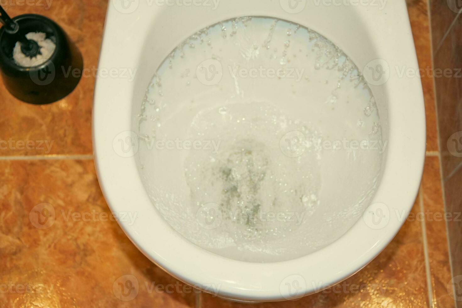 Flushing the Toilet - A Clean and Hygienic Practice for Proper Sanitation and Water Conservation photo