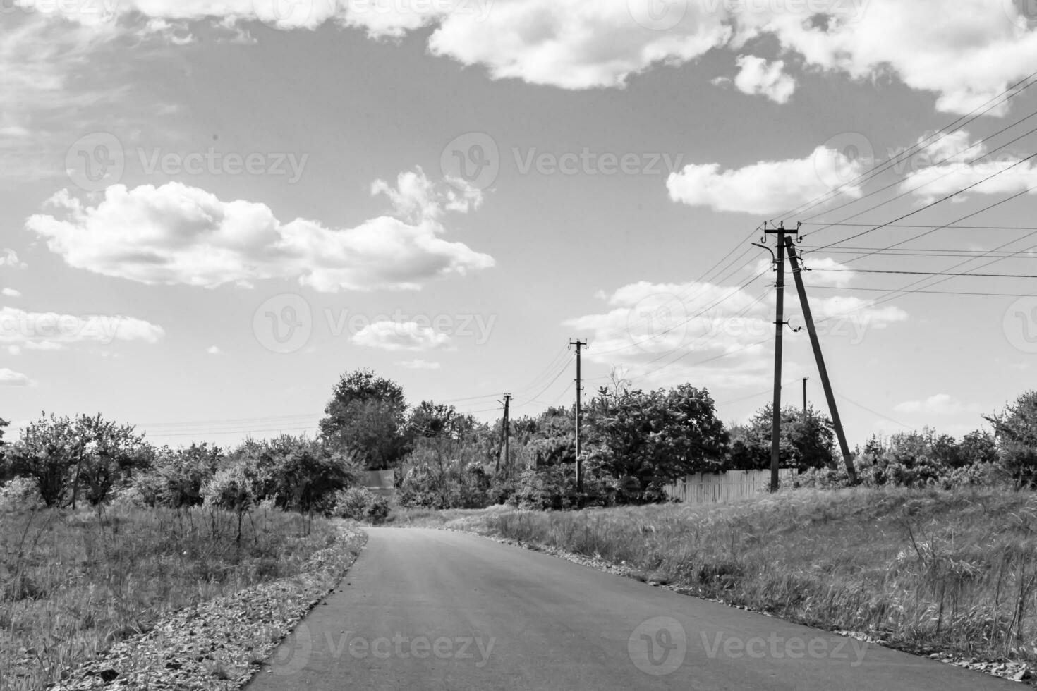 hermosa vacío asfalto la carretera en campo en ligero antecedentes foto