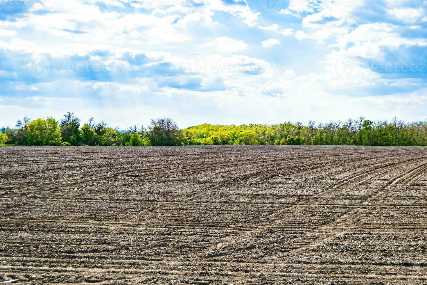 fotografía sobre el tema gran campo agrícola vacío para la cosecha orgánica foto