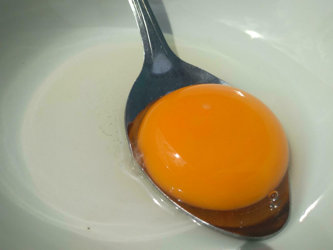 Raw eggs, top view of one raw eggs yolk in bowl on isolated white background. photo