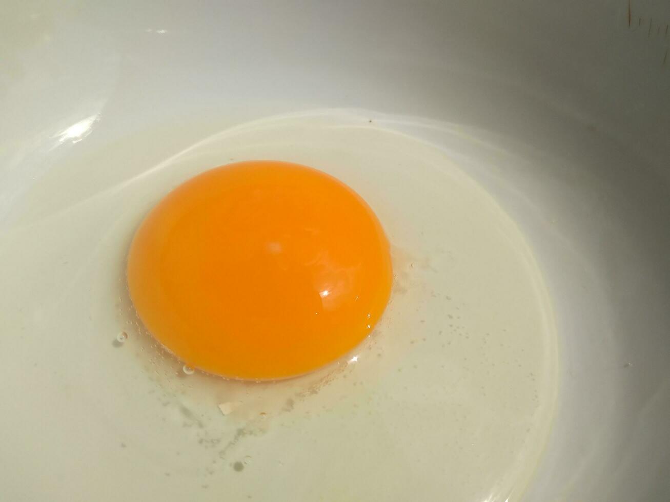 Raw eggs, top view of one raw eggs yolk in bowl on isolated white background. photo