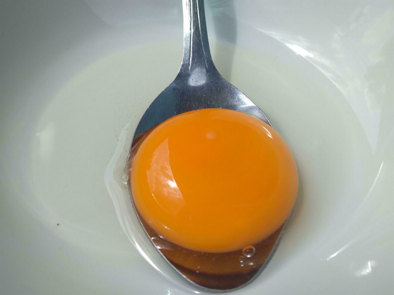 Raw eggs, top view of one raw eggs yolk in bowl on isolated white background. photo