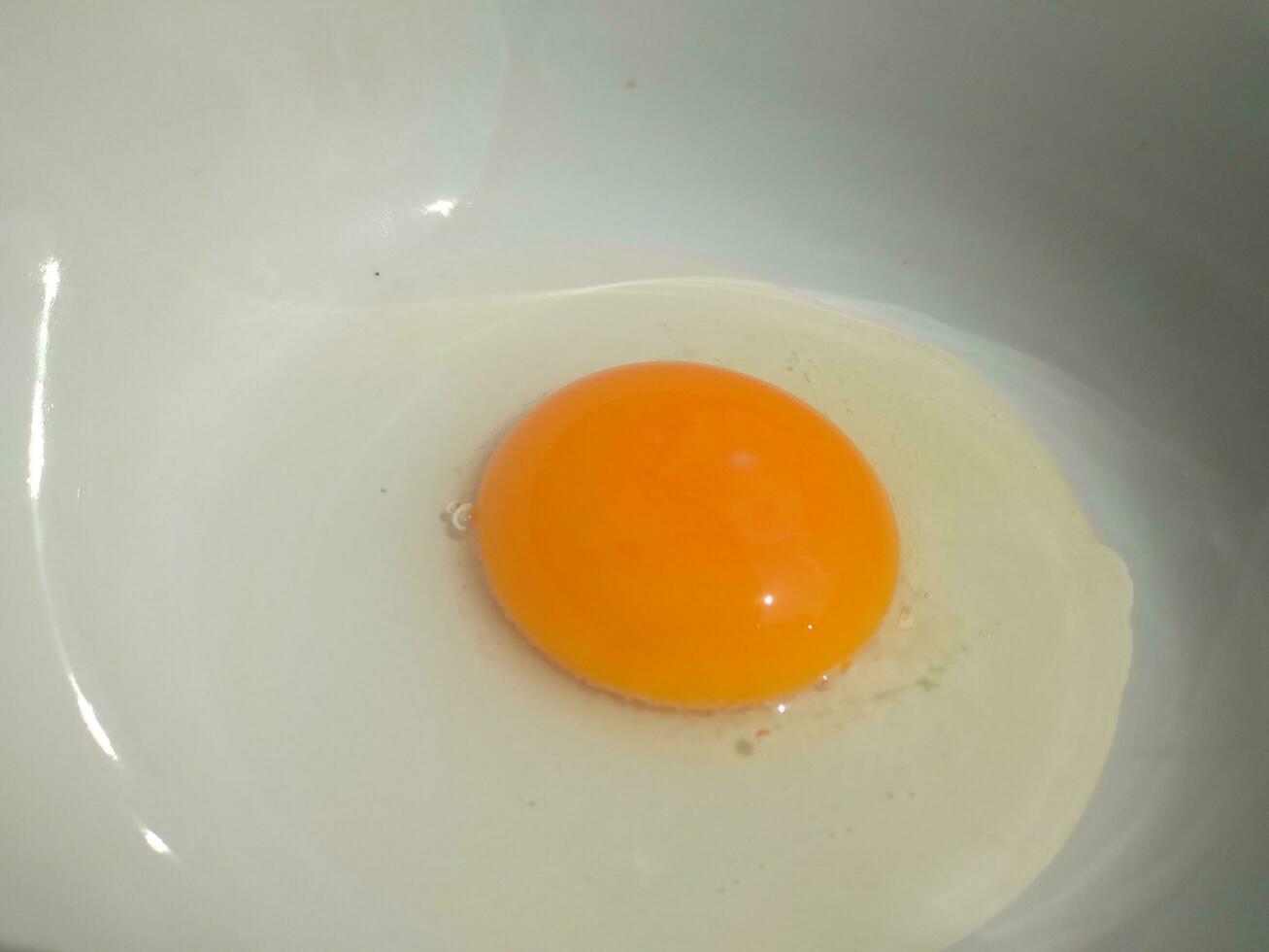 Raw eggs, top view of one raw eggs yolk in bowl on isolated white background. photo