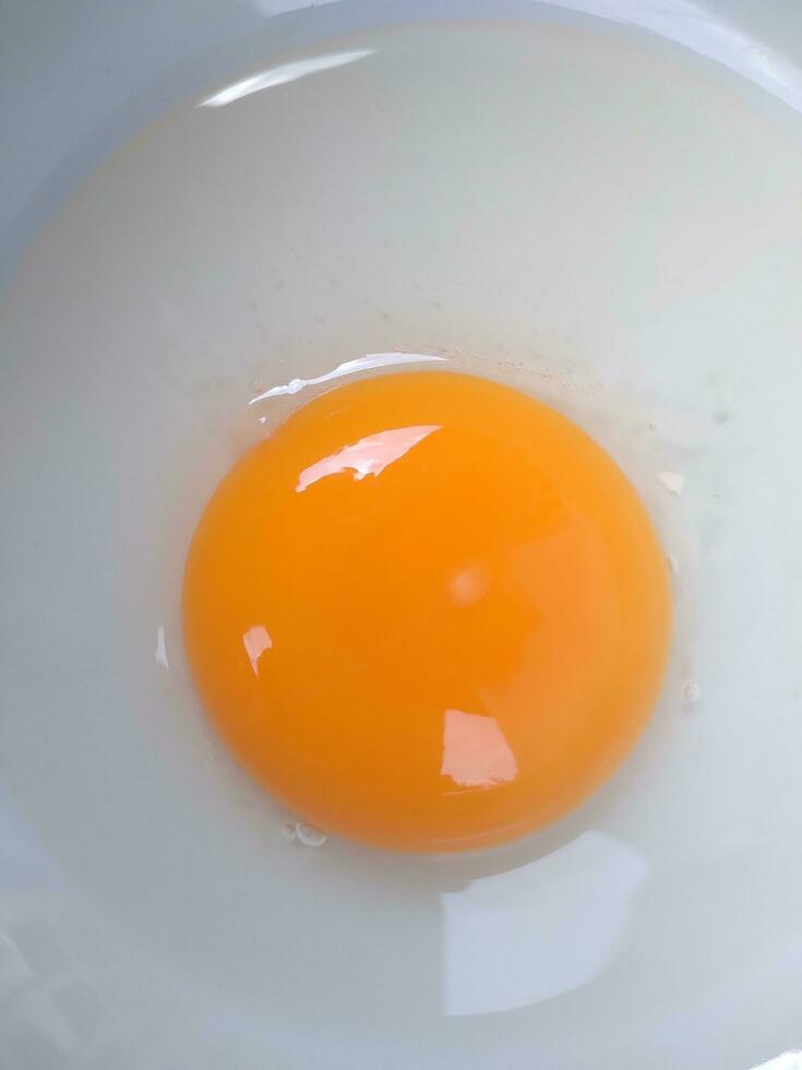 Raw eggs, top view of one raw eggs yolk in bowl on isolated white background. photo