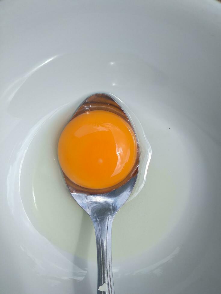 Raw eggs, top view of one raw eggs yolk in bowl on isolated white background. photo