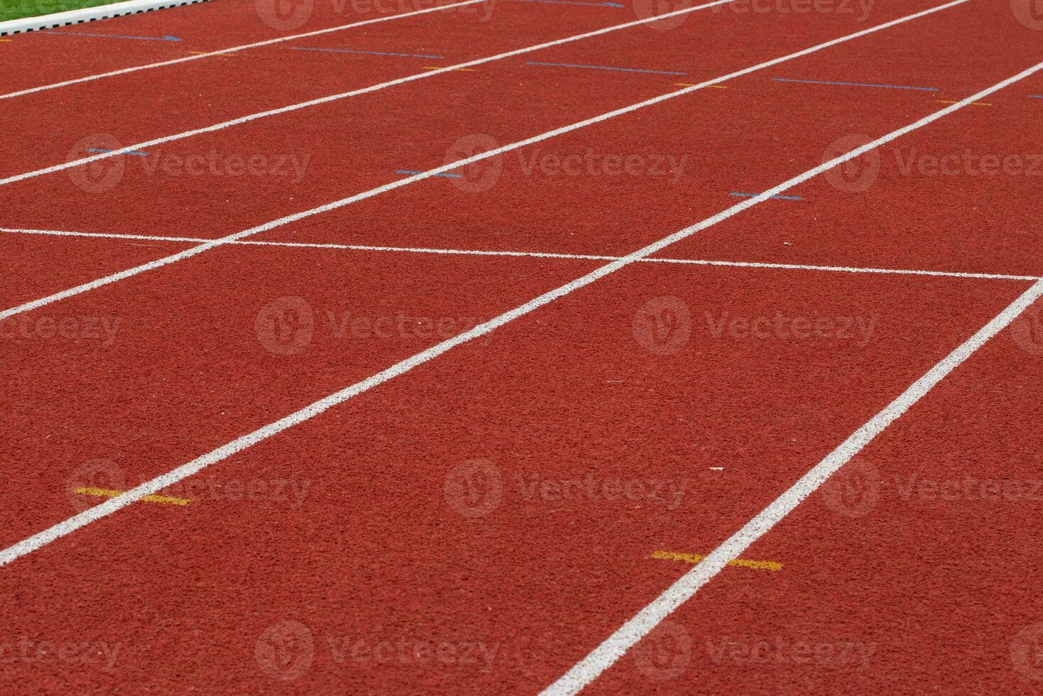 Background scene running field in the stadium. photo