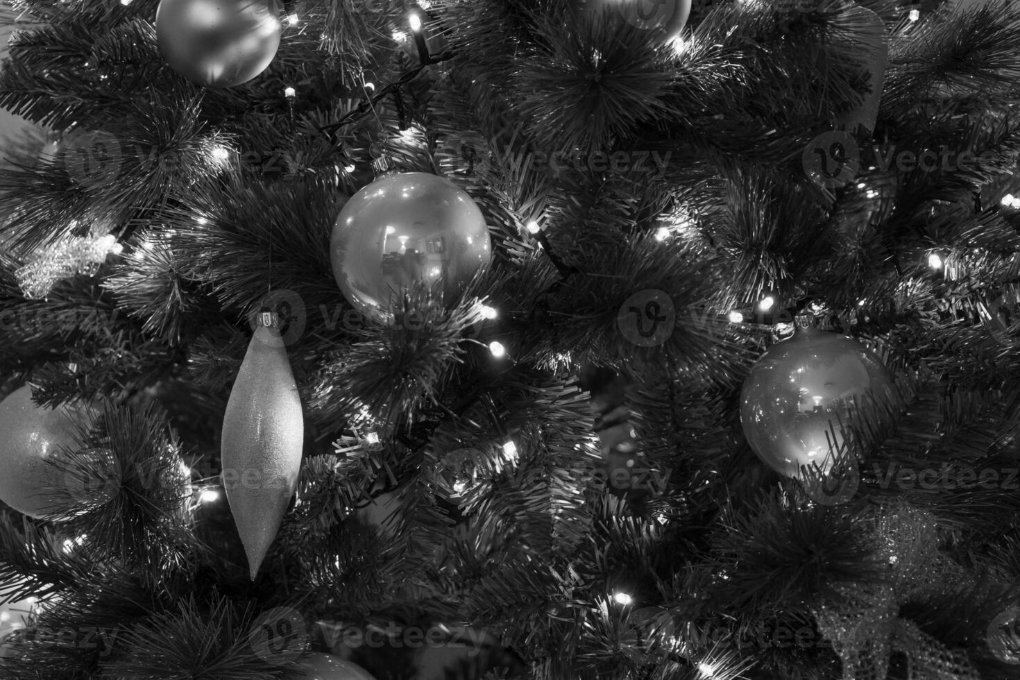 christmas tree in germany photo
