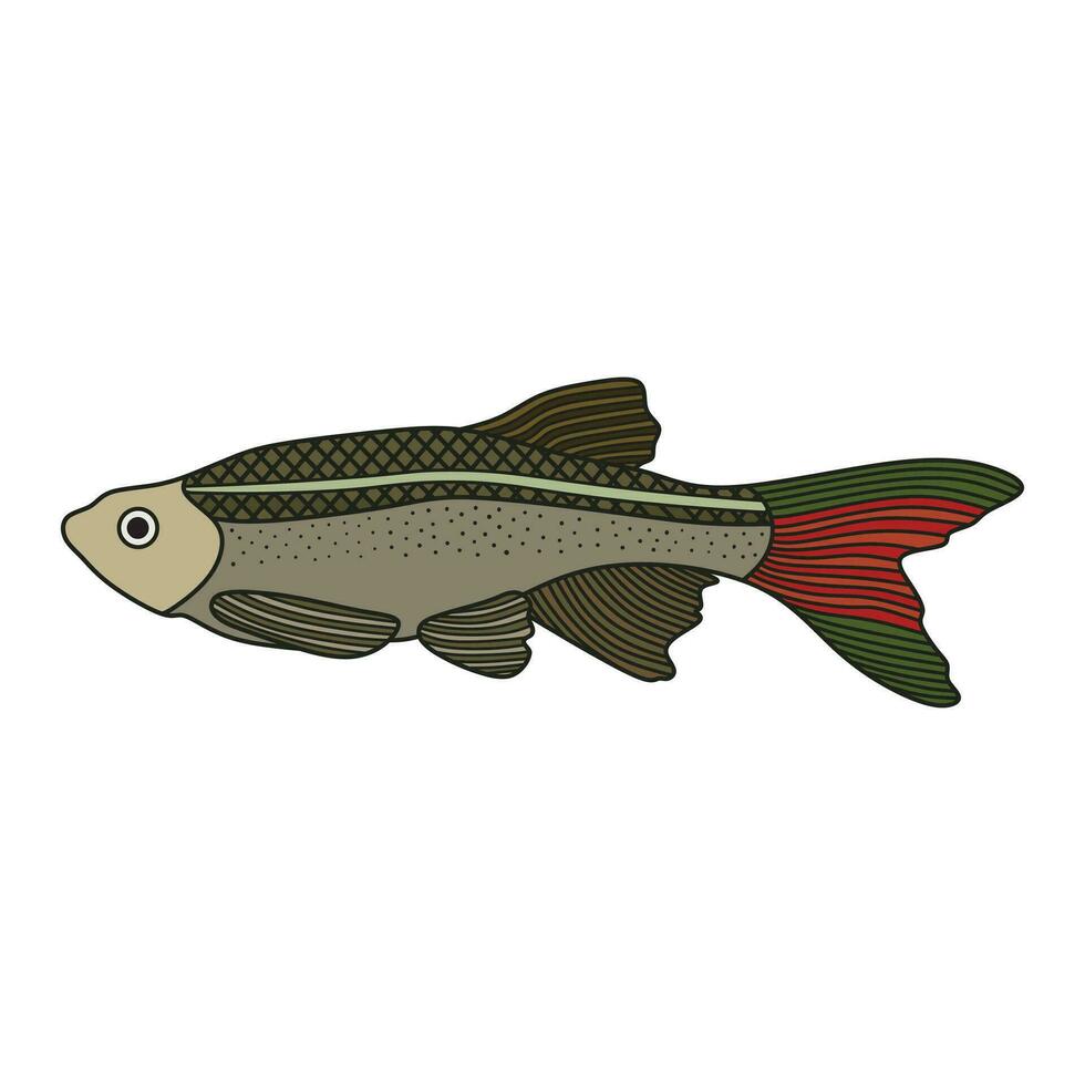 Cartoon Vector illustration White Cloud Mountain Minnow fish icon Isolated on White Background