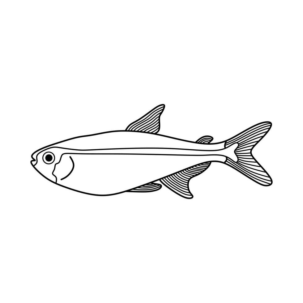 Hand drawn Cartoon Vector illustration glowlight tetra fish icon Isolated on White Background