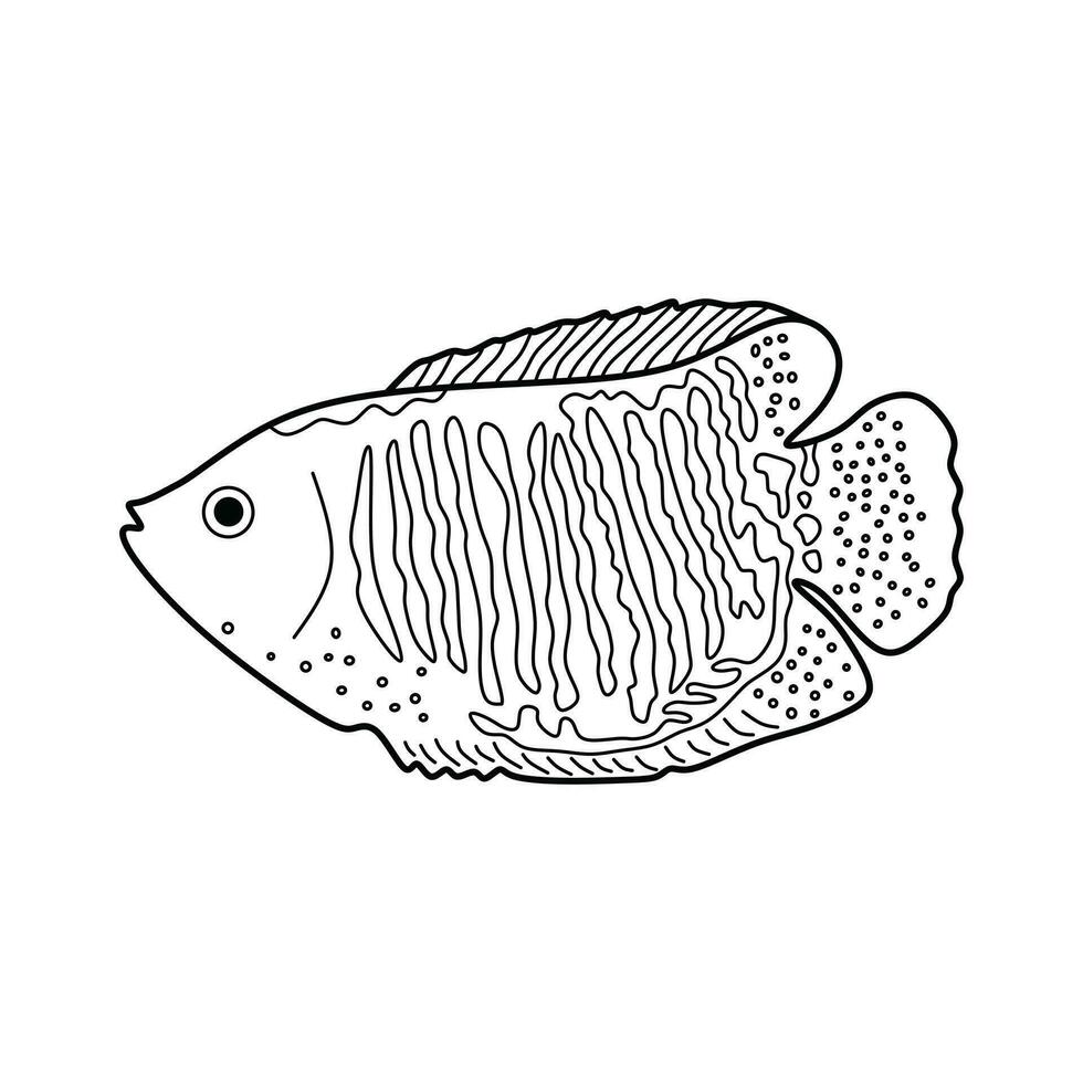 mano dibujado dibujos animados vector ilustración enano gurami pescado icono aislado en blanco antecedentes