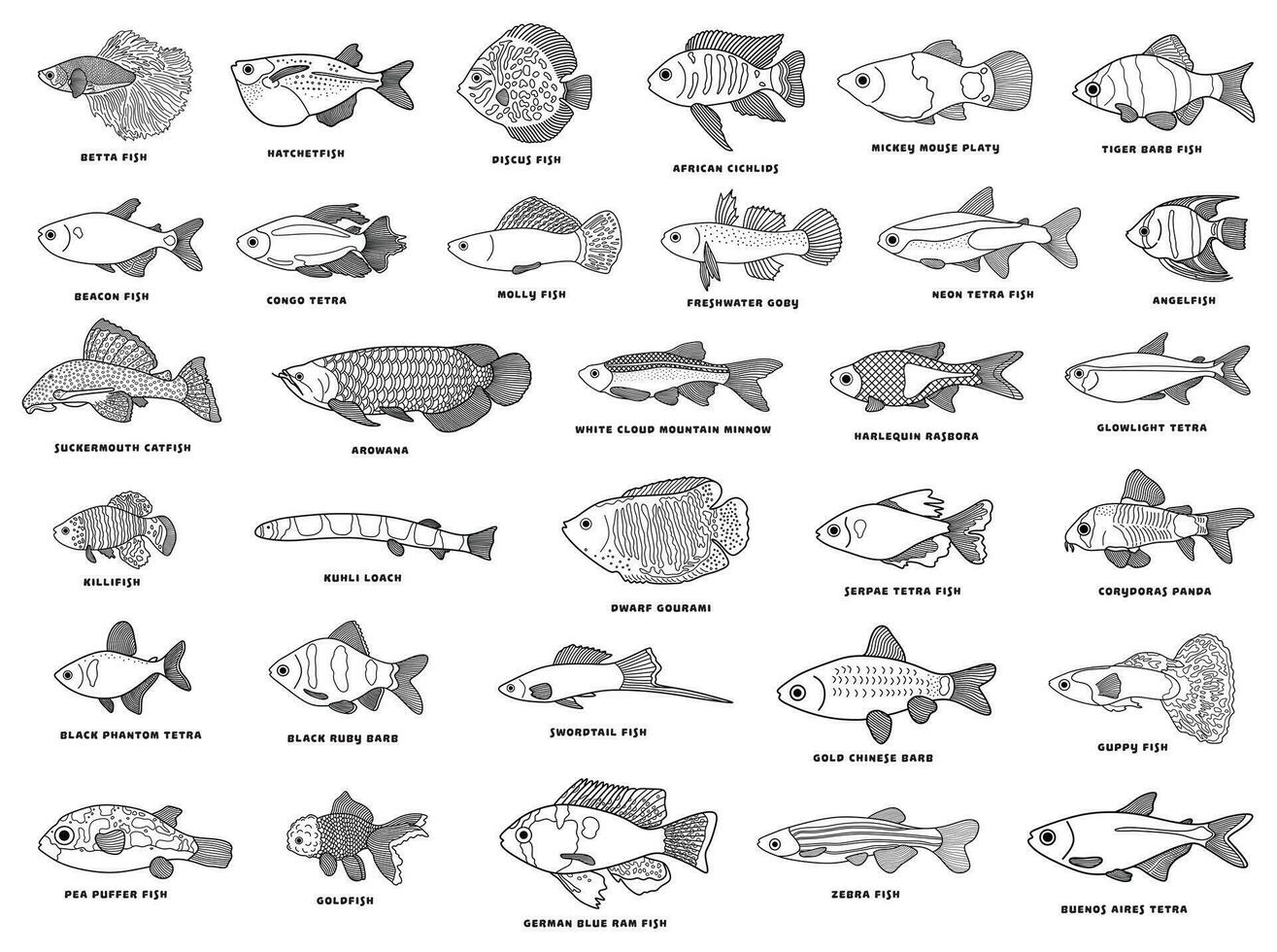 mano dibujado vector ilustración icono conjunto de diferente peces con el nombres icono aislado en blanco antecedentes