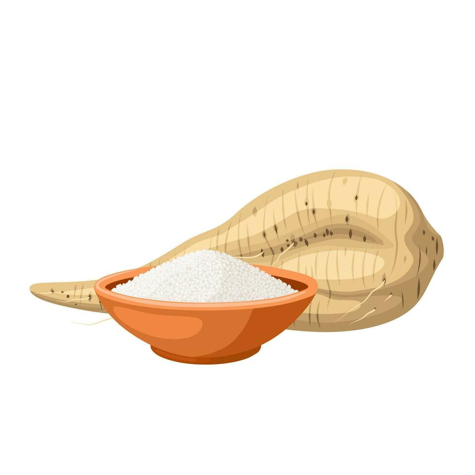 Vector illustration, sugar beet root, with sugar in a bowl, isolated on white background.