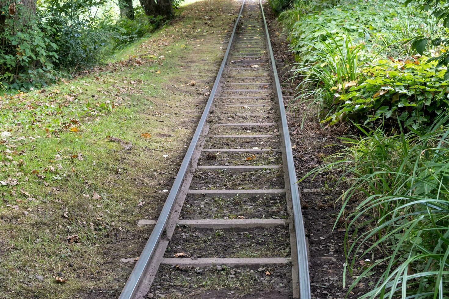 small railway in the woods photo