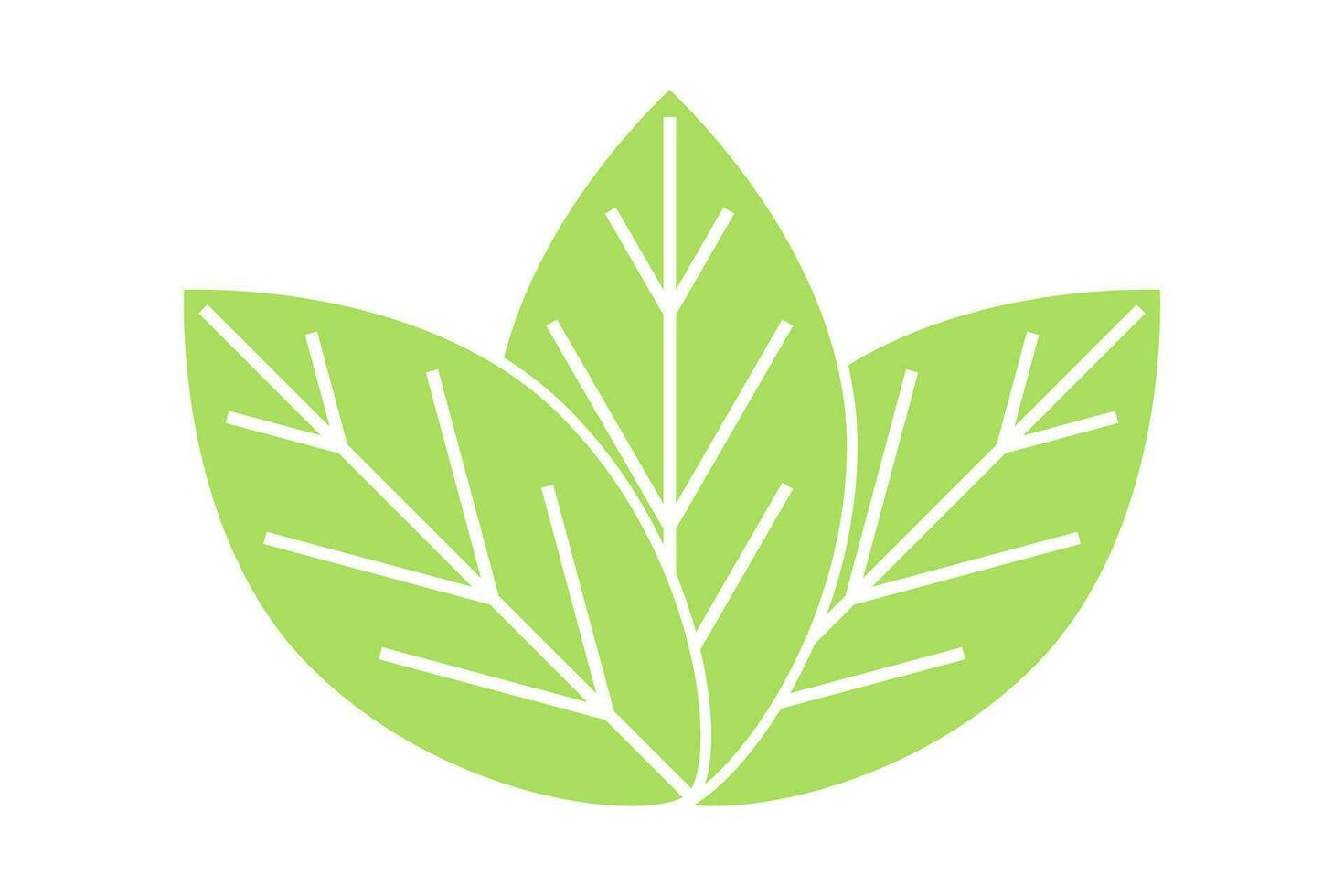 Leaf flat icon. Eco green leaves. Elements for eco and bio logos design. Vector illustration.