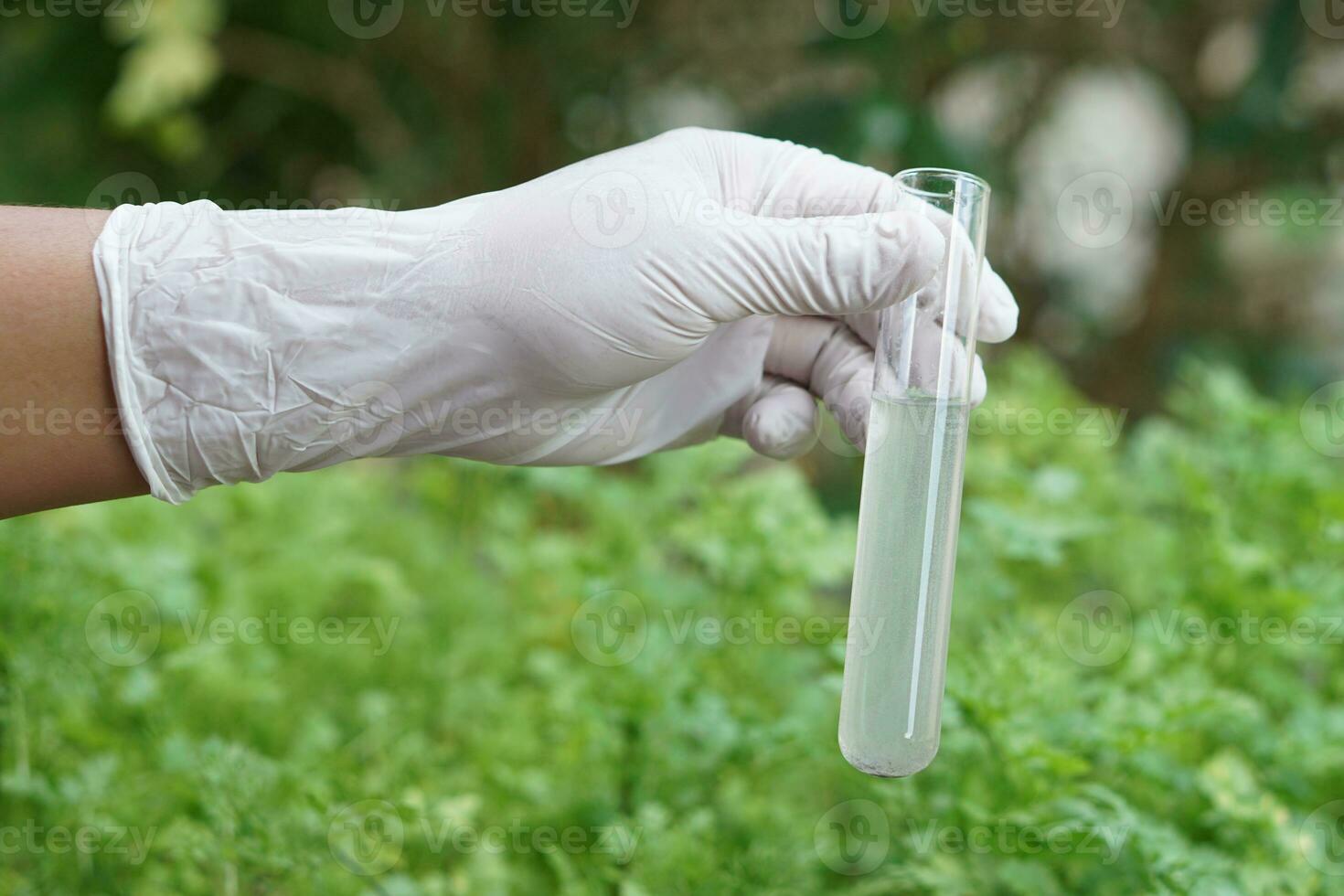 Close up ecologist hand holds test tube with chemical contaminated water in agriculture area. Concept, Inspecting water quality from nature source. Examination water pollution. Environmental problems. photo