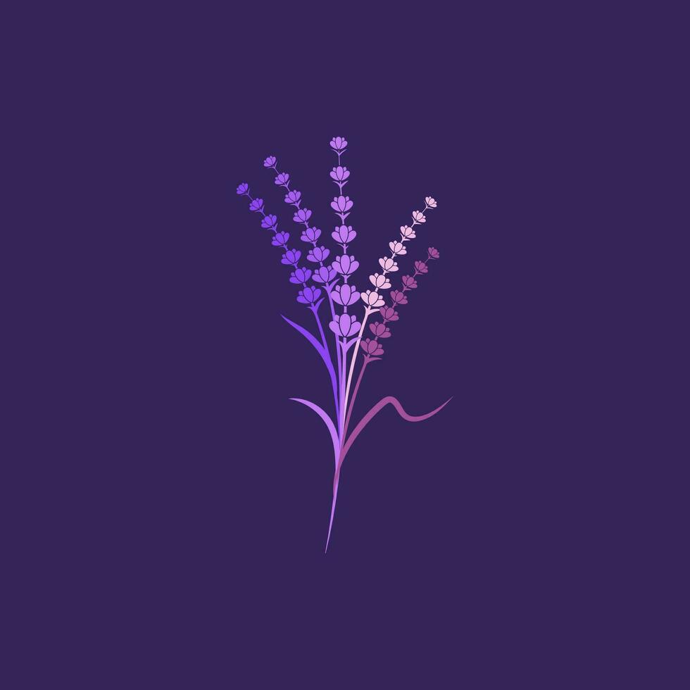 Lavender flower Vector icon illustration