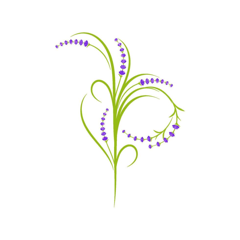 ilustración de icono de vector de flor de lavanda