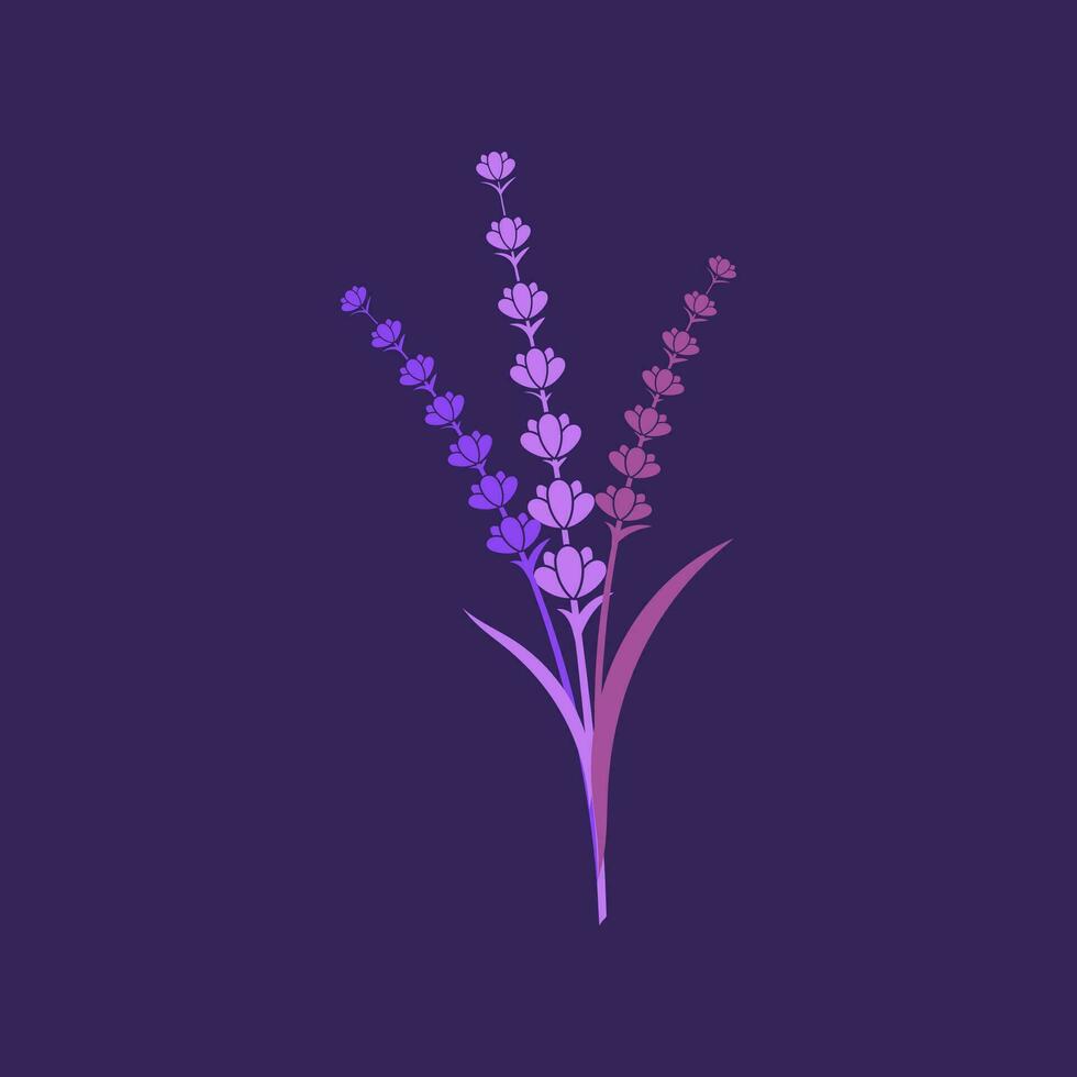 ilustración de icono de vector de flor de lavanda