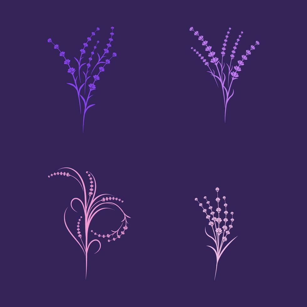 ilustración de icono de vector de flor de lavanda