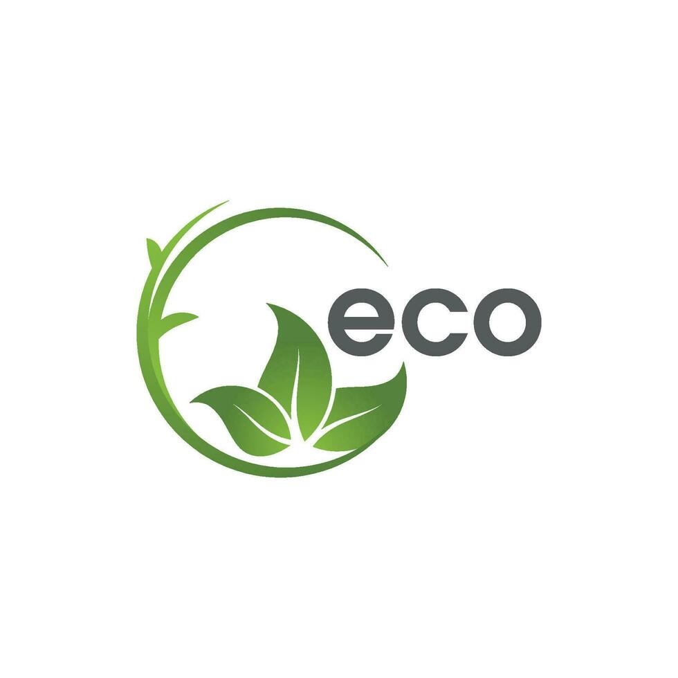 Eco of green Tree leaf ecology vector