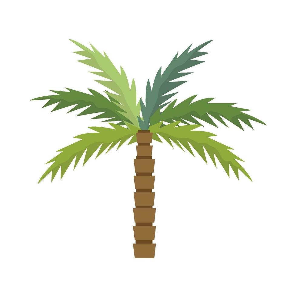 ilustración de palmera vector