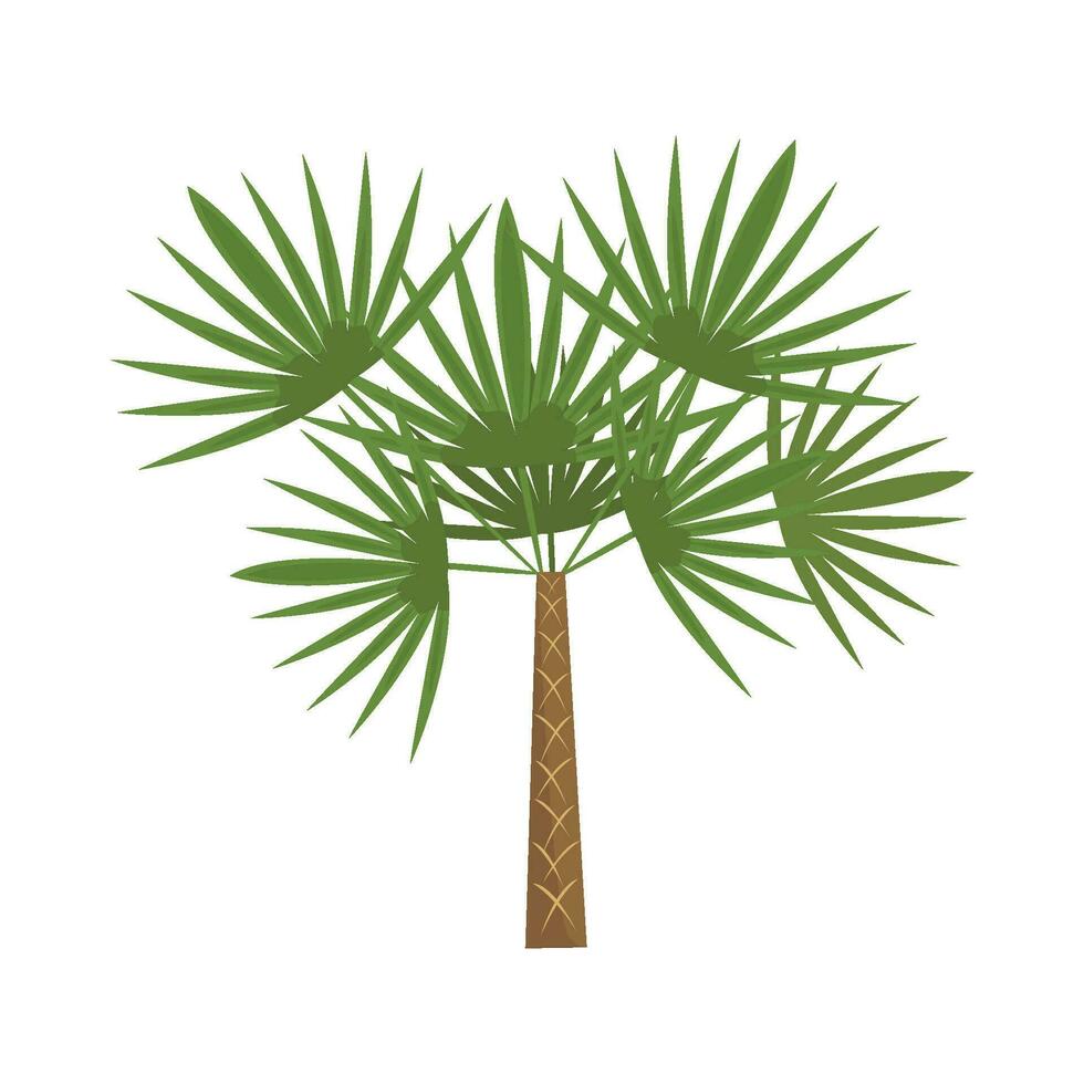 palm tree illustration vector