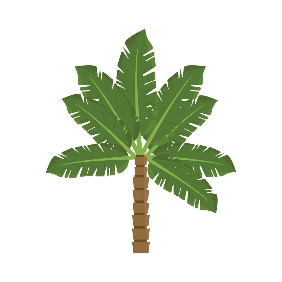 ilustración de palmera vector