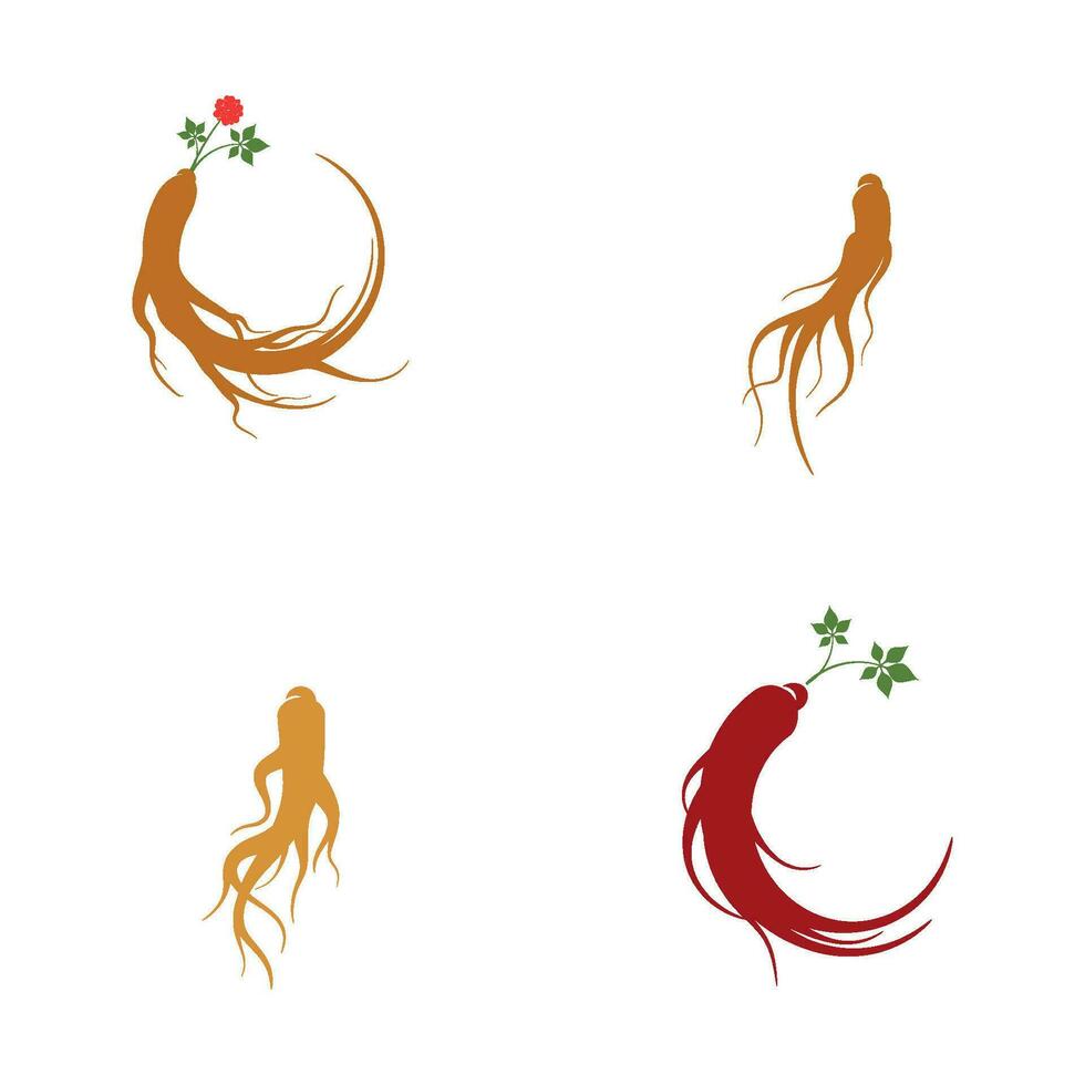 Ginseng vector icon illustration