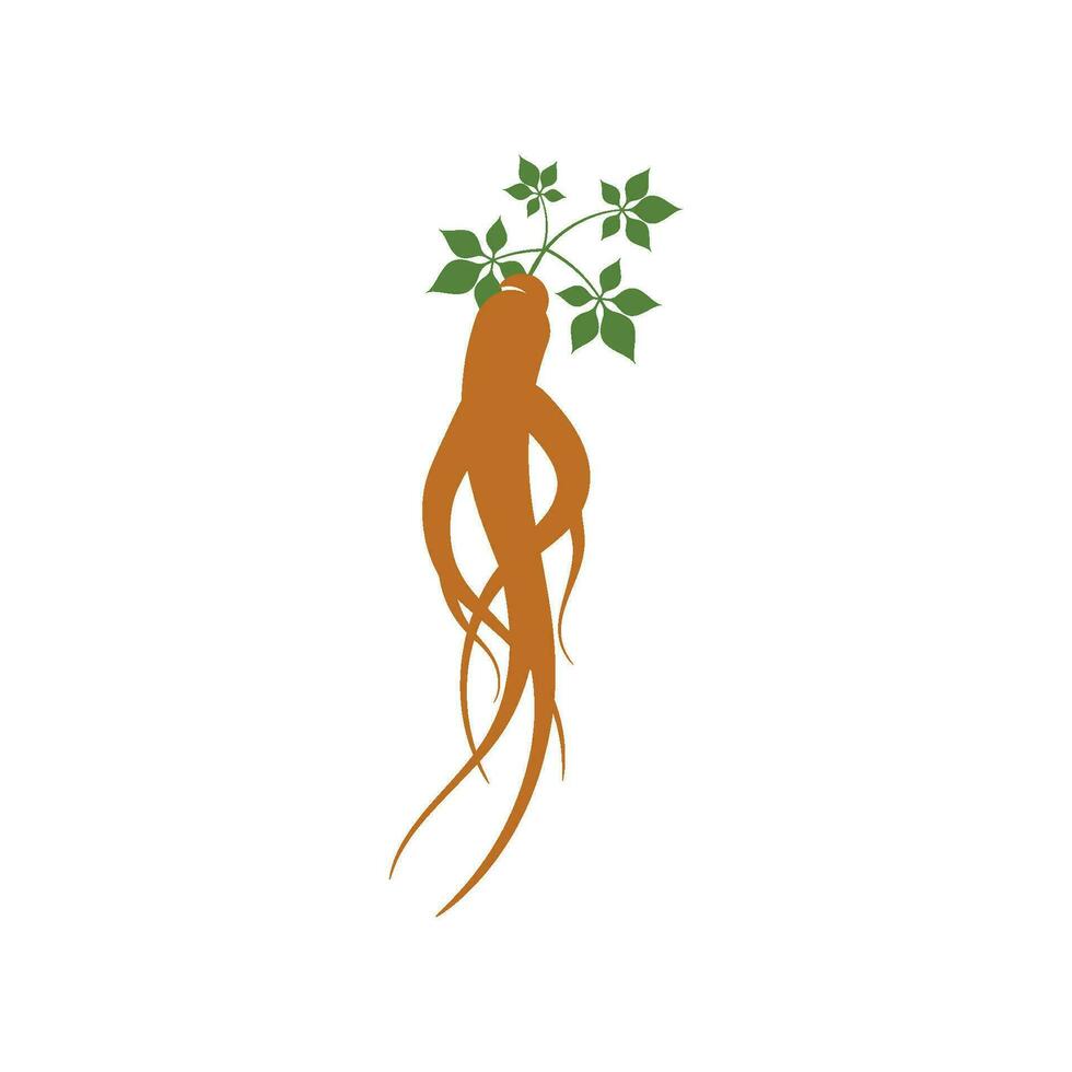 ilustración de icono de vector de ginseng