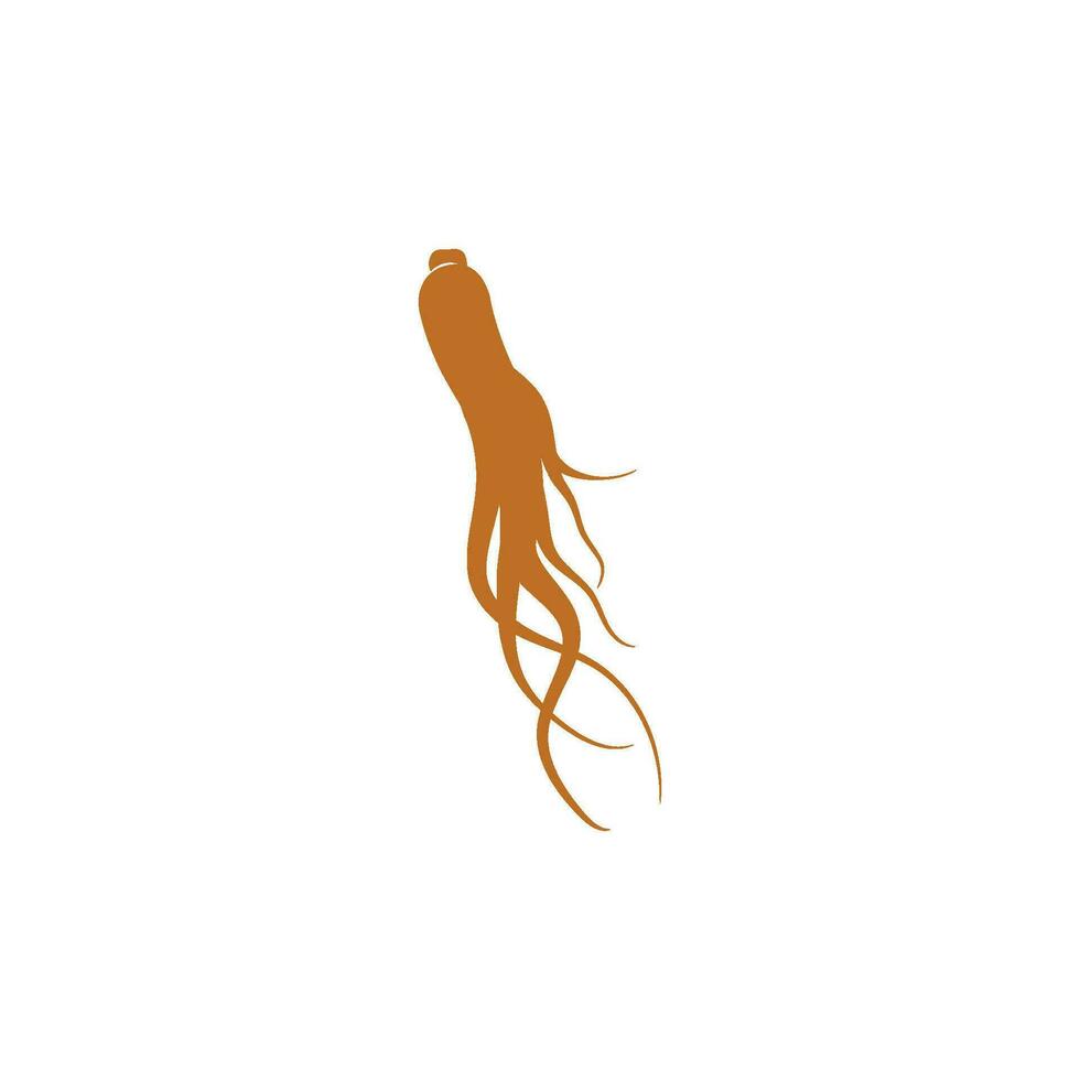 ilustración de icono de vector de ginseng