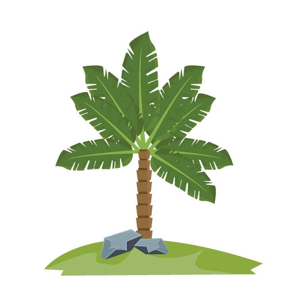 ilustración de palmera vector