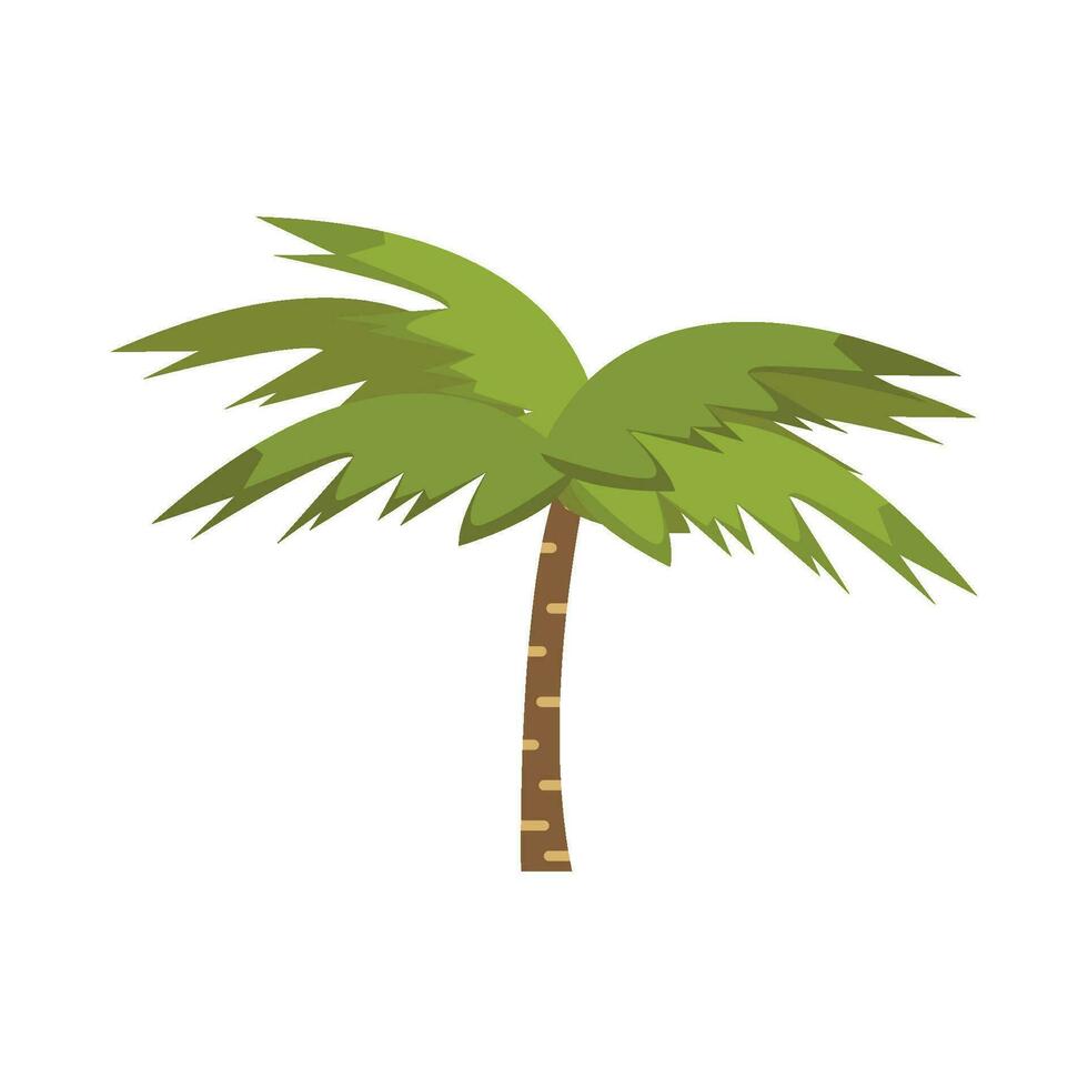 ilustración de palmera vector