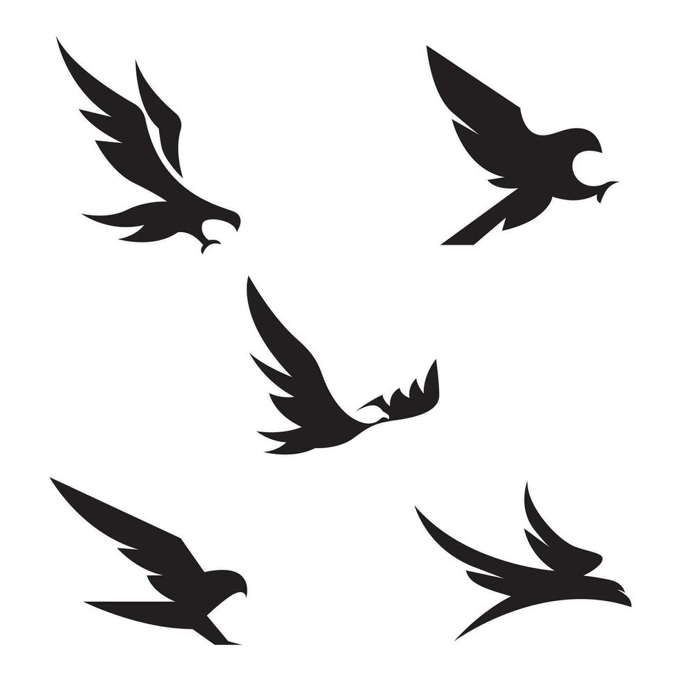 Collection of modern bird logos. Eagle silhouette logo vector