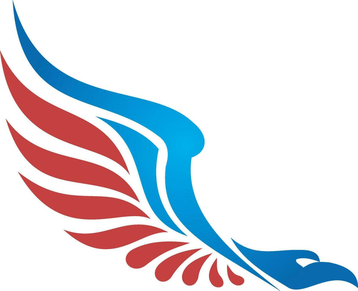 american eagle hawk vector