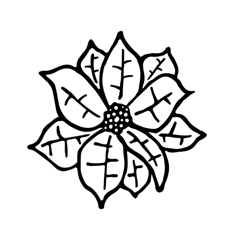 Poinsettia leaf vector illustration. Floral hand drawn branch, Xmas linear element. Xmas elegant flower top view isolated on white background. Poinsettia foliage silhouette, line art. Doodle