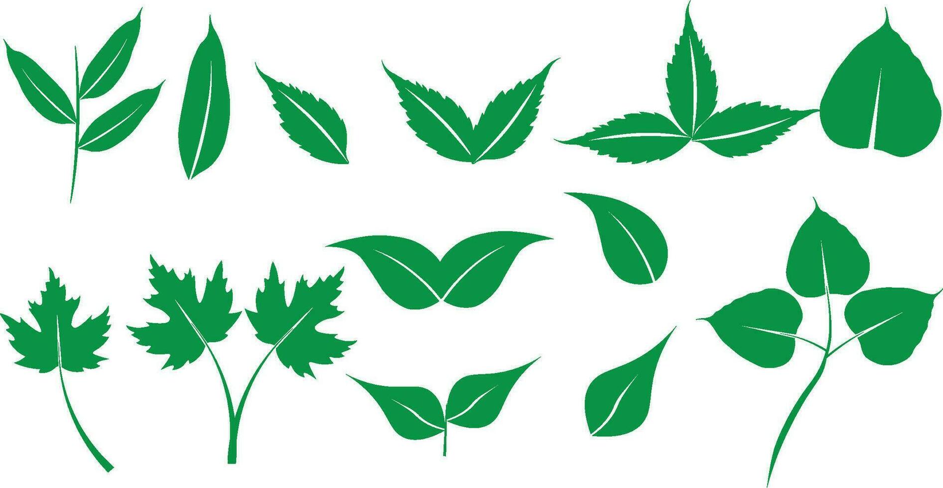 green Leaves colour editable vector