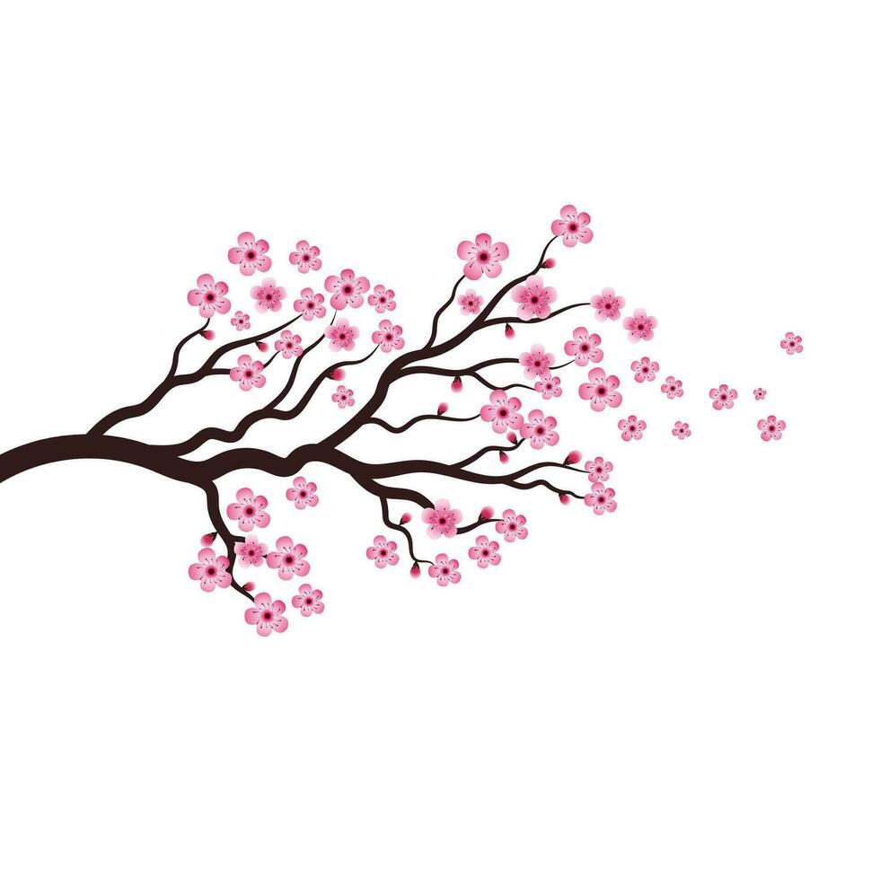 Sakura Beauty flower Vector icon