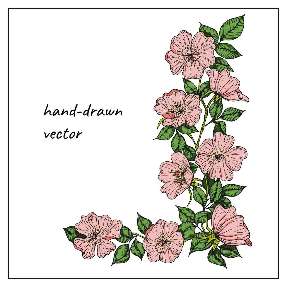 Angled floral frame rose hand drawn flowers with leaves. Corner border composition of flowers for design, decoration vector