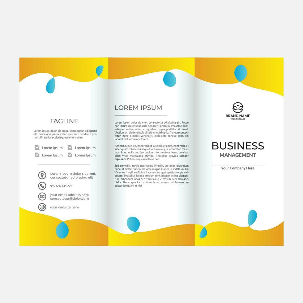 vector minimal corporate trifold brochure template design