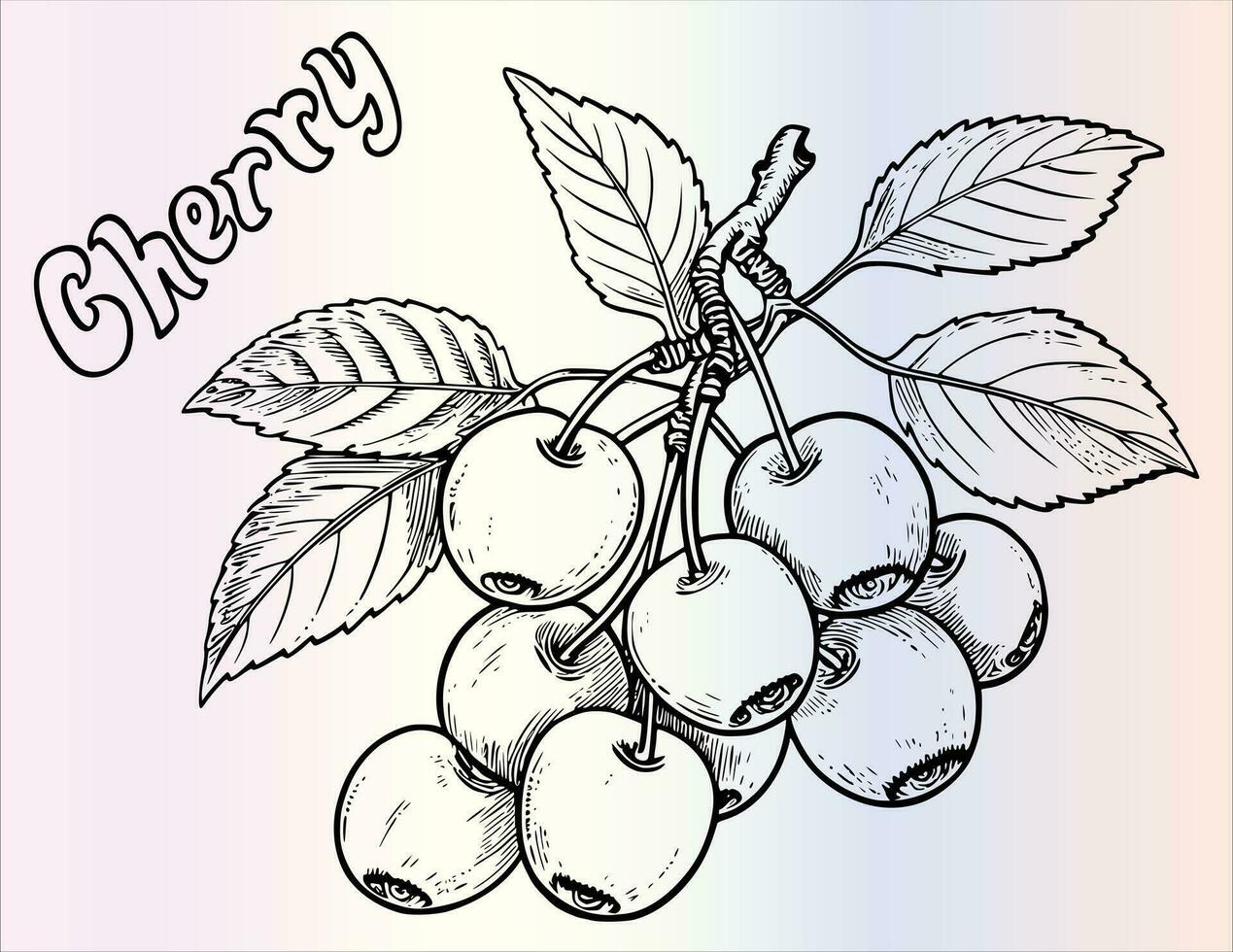 Cherry Coloring Page For Kids vector